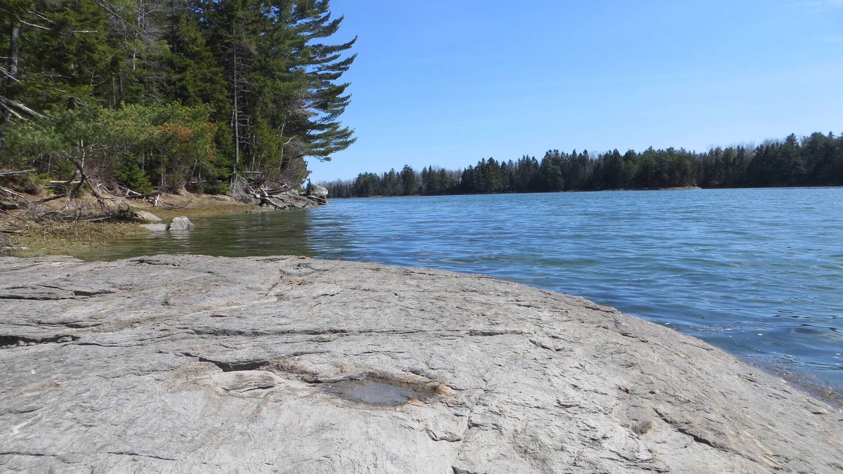 Lamoine House | Waterfront Post & Beam Home on 5 Peaceful Acres