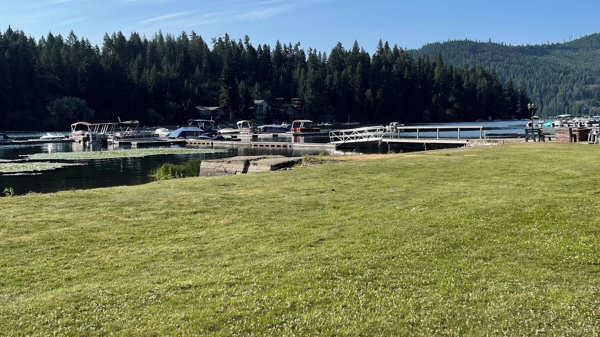 Spirit Lake Cabin | Waterfront Private Cabin w/Deck, Dock Space; AC; BBQ; Breathtaking Views; Pets
