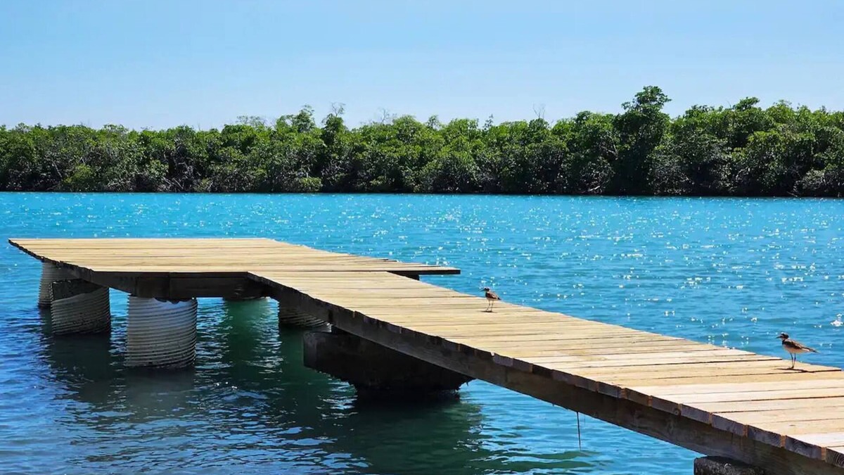 Penuelas House | Waterfront Retreat, Power Generator, Private Dock & Boat Ramp
