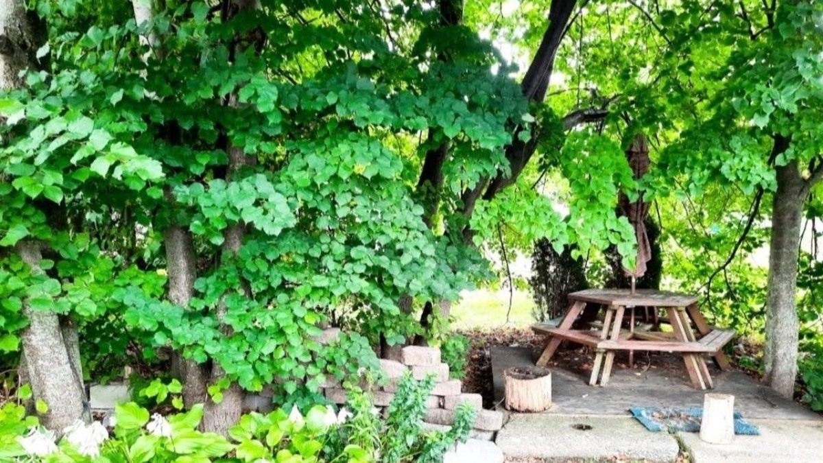 Sherkston Cottage | Waterviews at Sherkston. Sleeps 8, Golfcart included