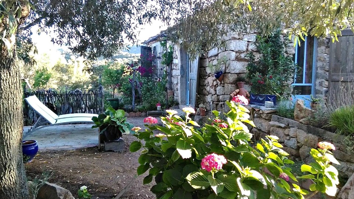 San Pantaleo Other | We Are a Farm&Guesthouse Only 20min from the Costa Smeralda beach