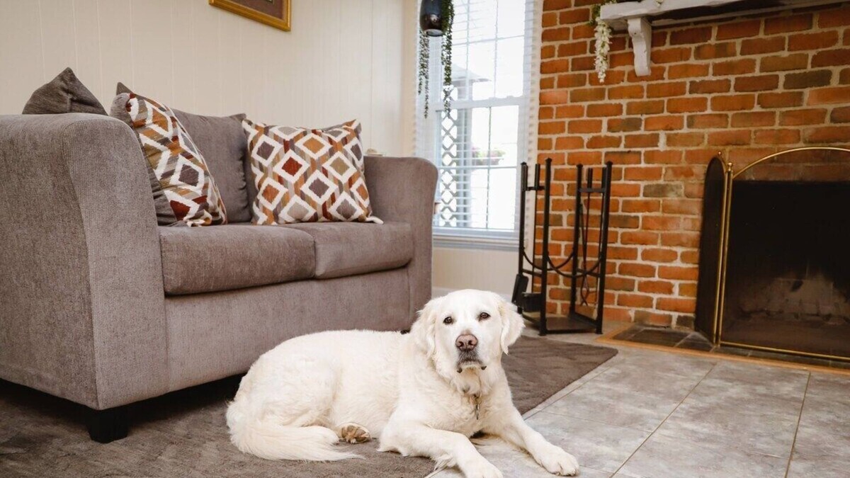 Hampton Apartment | We have a fully furnished bedroom that is ready to become someone's home away from home