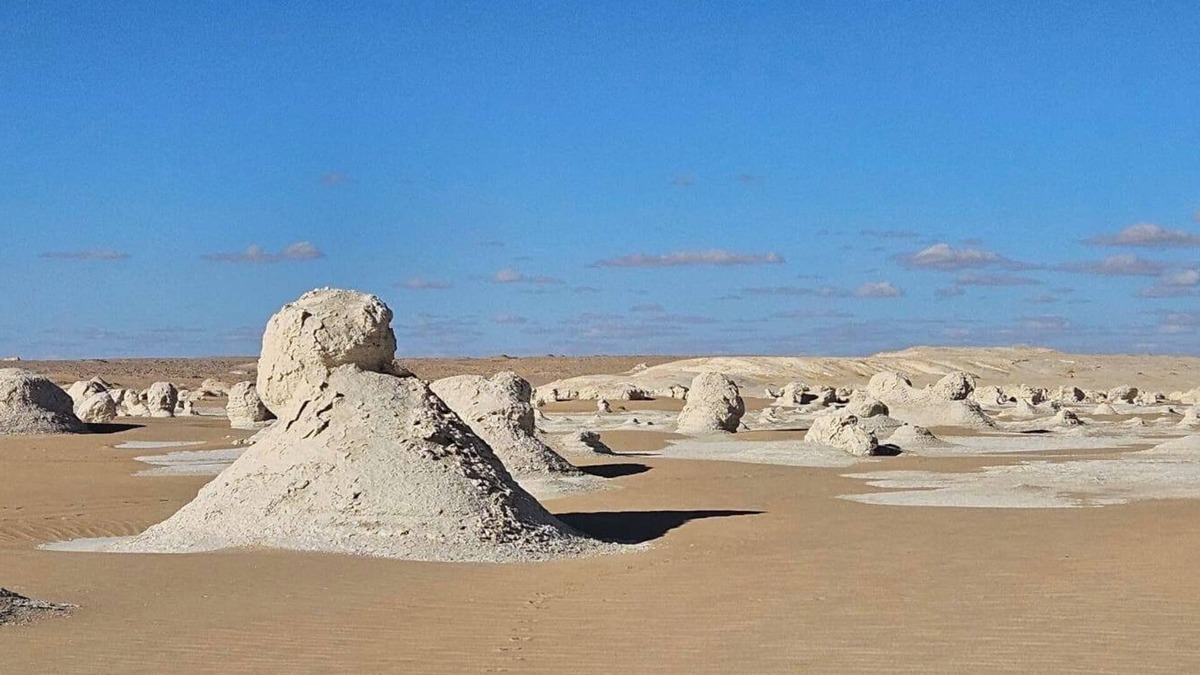 Bawati RV Rental | We organize safari trips to white desert