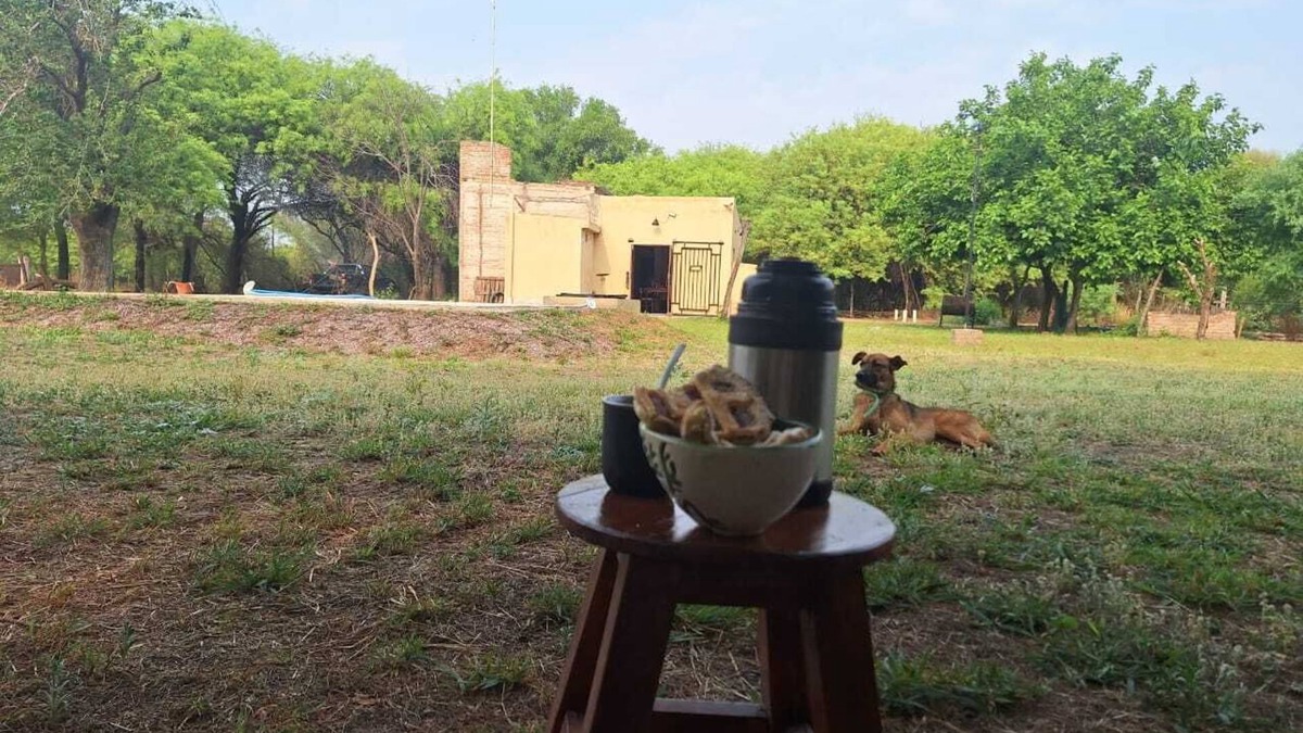 Santiago del Estero House | Weekend Farm, Relaxation, privacy.