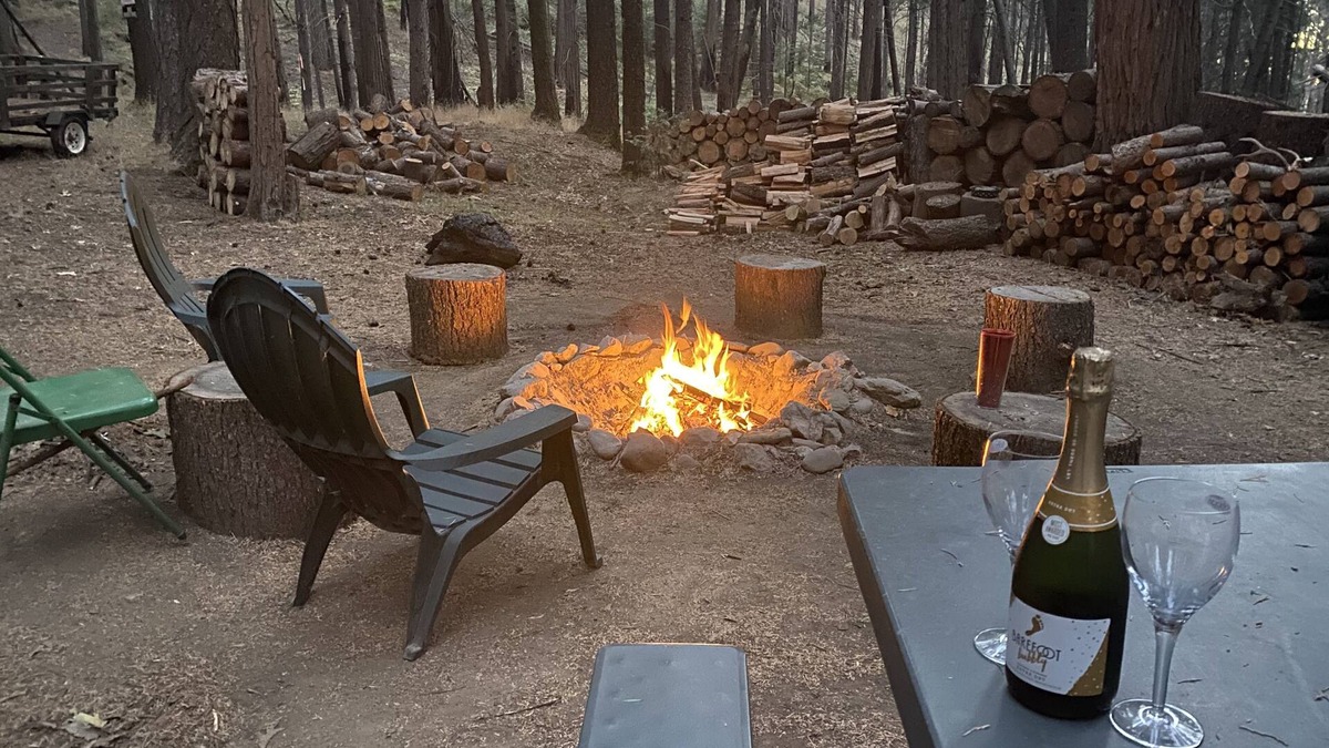 Mokelumne Hill Cabin | Weekend Getaway Relax & Recharge 5 acres Nature Retreat & Dog Heaven!