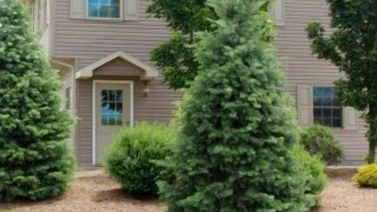 Mansfield House | Weekly discounts available!