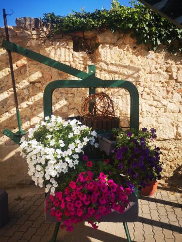 Eisenstadt Bed & Breakfast | Weingut Lichtscheidl