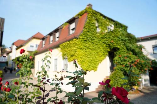 Erlabrunn House | Weingut Martin Blass