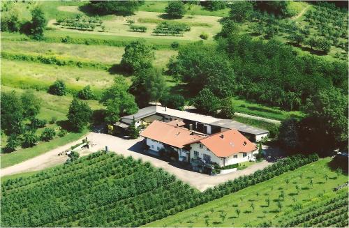 Herbolzheim Apartment | Weingut Ringwald