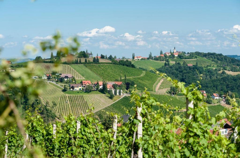 Kitzeck im Sausal House | Weingut Schauer
