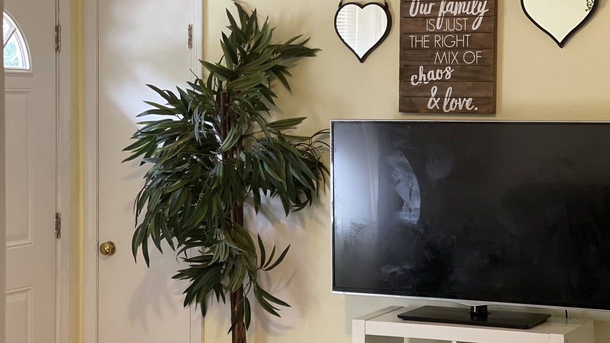 Cuthbert House | Welcome Back