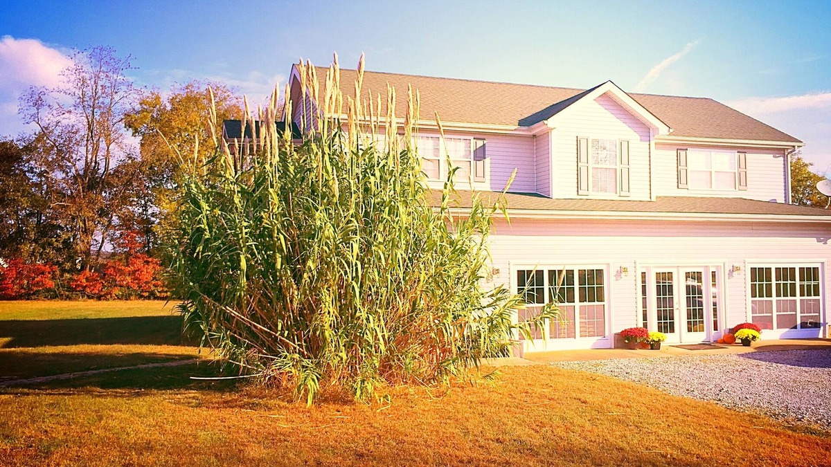 Bowling Green House | WELCOME Cave Visitors! Clean, Peaceful Home in the Country. Game Room/Mini Gym!