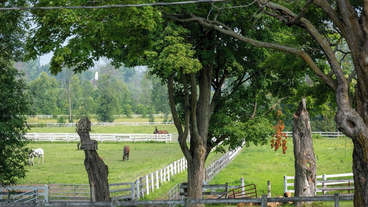 Ramara House | Welcome to Haven Barn! Mins from a Beach situated on a beautiful horse farm!