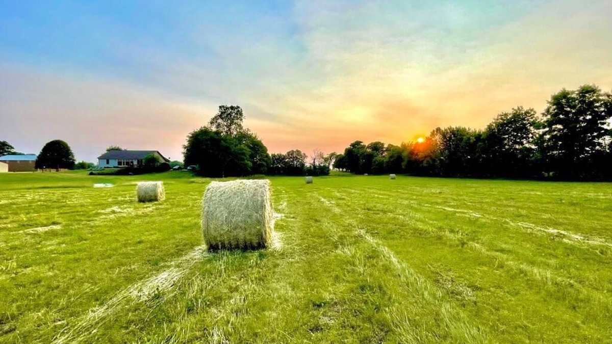 Cartersburg Other | Welcome to our charming Hobbit’s Shire! Nestled in the countryside.
