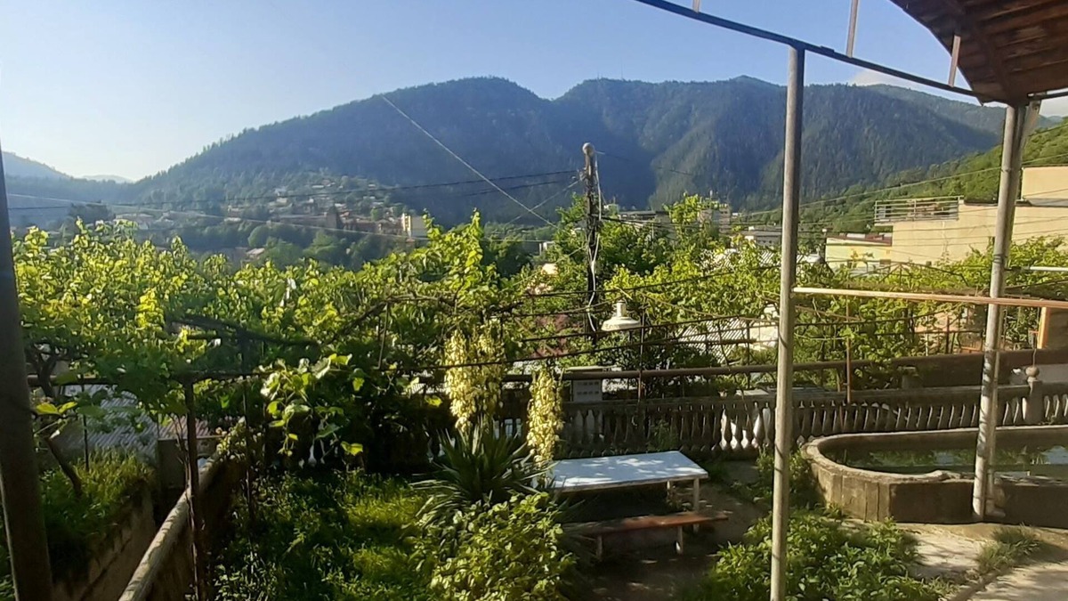 Borjomi House | Welcome to Shota's GuestHouse in Georgia,Borjomi