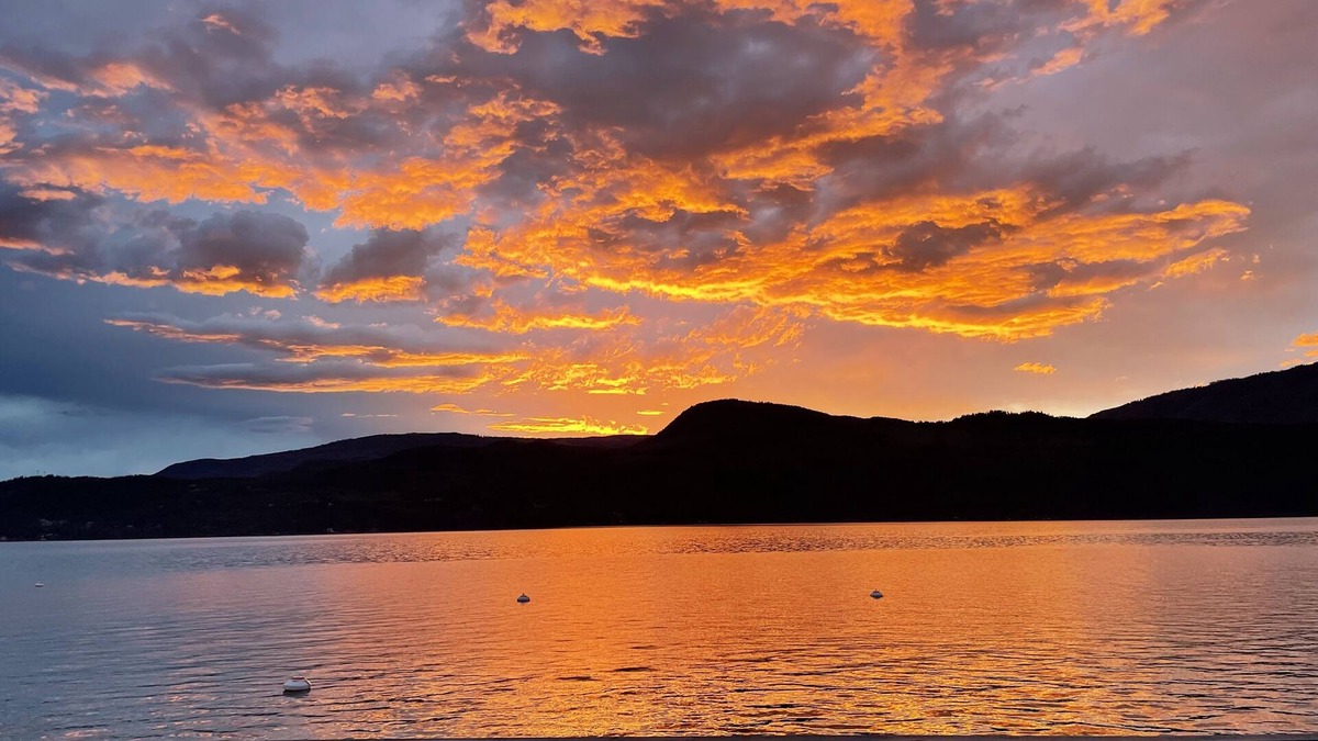 Blind Bay House | Welcome to Summer Camp! Escape to the shores of beautiful Shuswap Lake.
