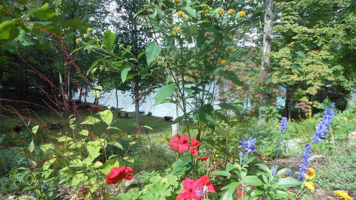 Red Hook Apartment | WELCOME TO THE COUNTRY - LAKE FRONT PROPERTY - THE FOX DEN STUDIO