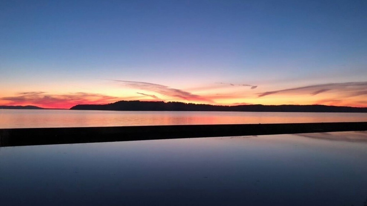 Harbour Pointe House | Welcome To The Herons Nest