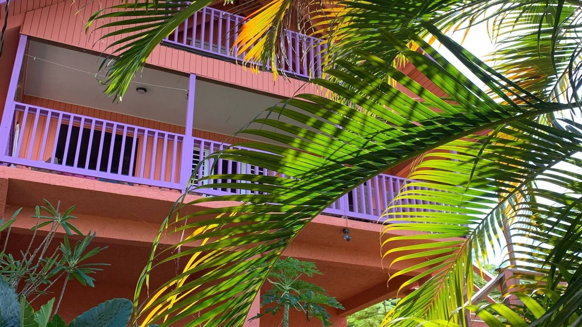 Puntas House | Welcome to the jungle Beach~House & Pool