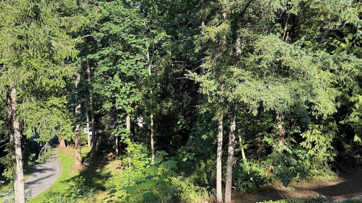Cultus Lake Cottage | Welcome to “The Pines” at The Cedars