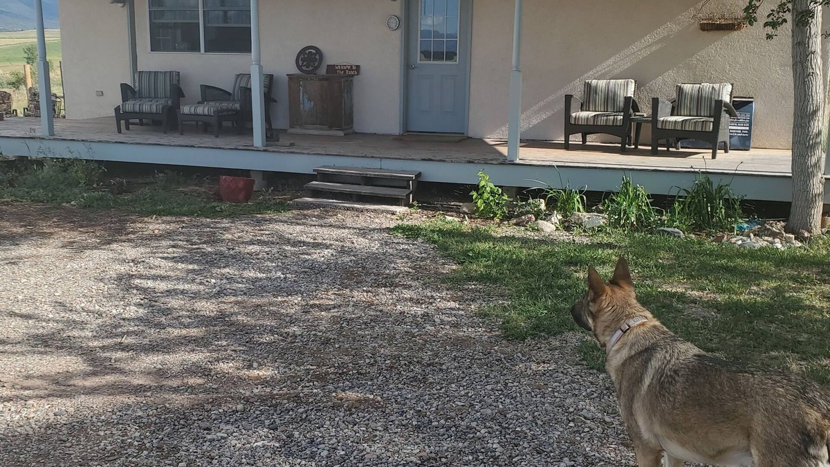 Silt House | Welcome to the Ranch!