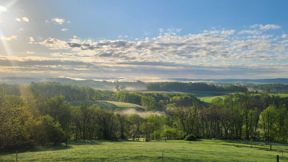 West Leisenring House | Welcoming 3-bedroom house in Vanderbilt with an amazing view!