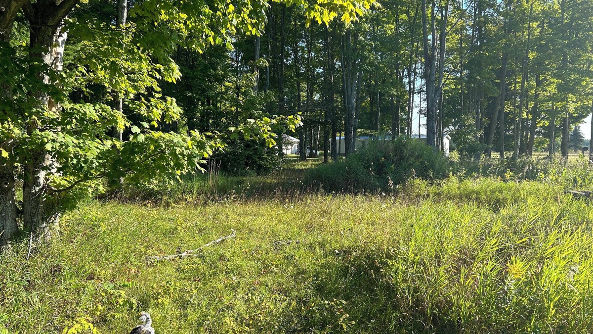 McMillan RV Rental | Welcoming campsites in heart of the UP