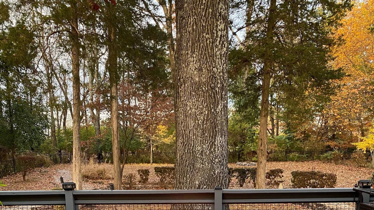 Crestwood House | Well-appointed & located wooded retreat only11 miles to PGA!