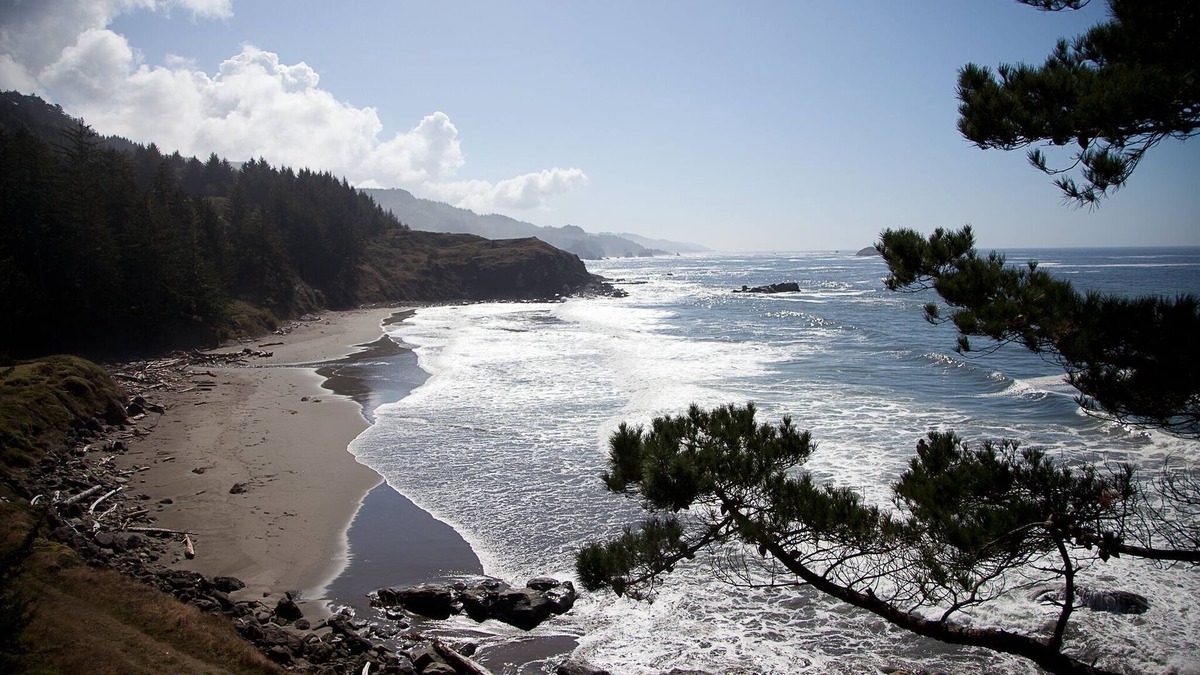 Brookings House | West Cove -Oceanfront Private Beach
