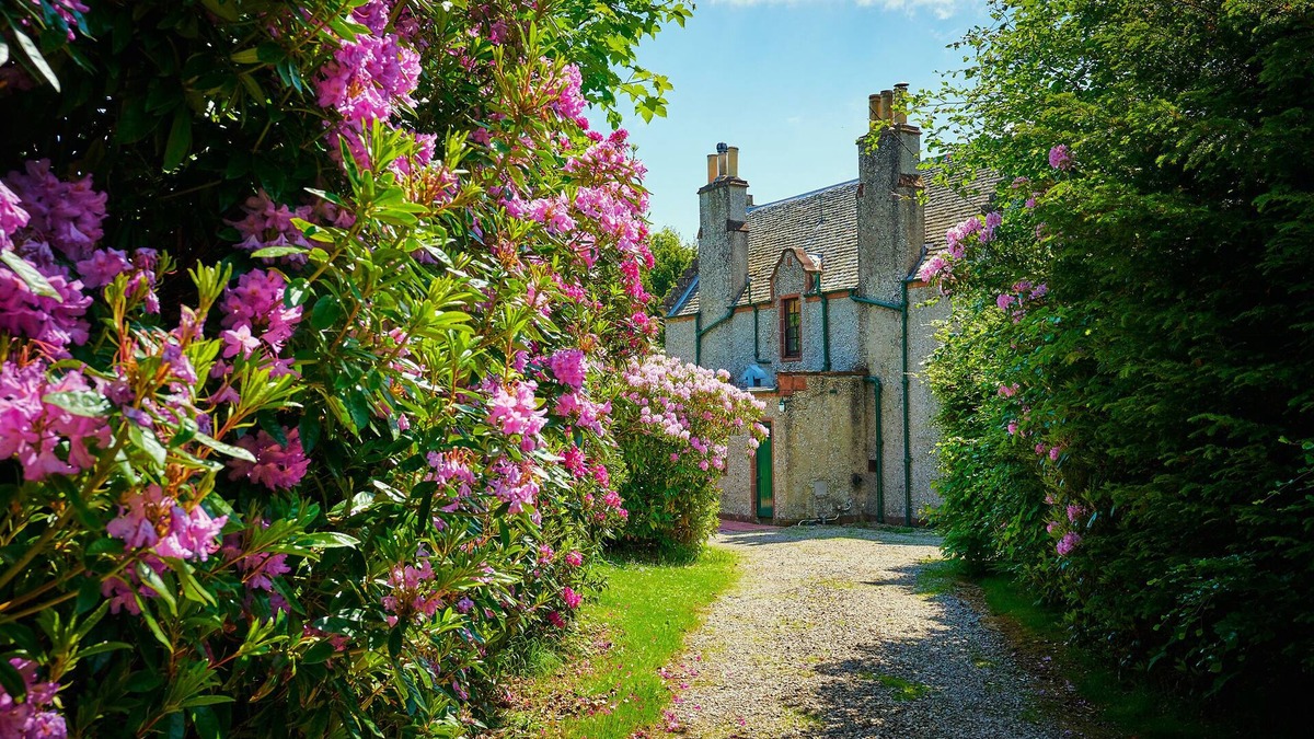 Bridgend of Lintrathen Cottage | WEST LODGE, pet friendly, character holiday cottage in Kirriemuir