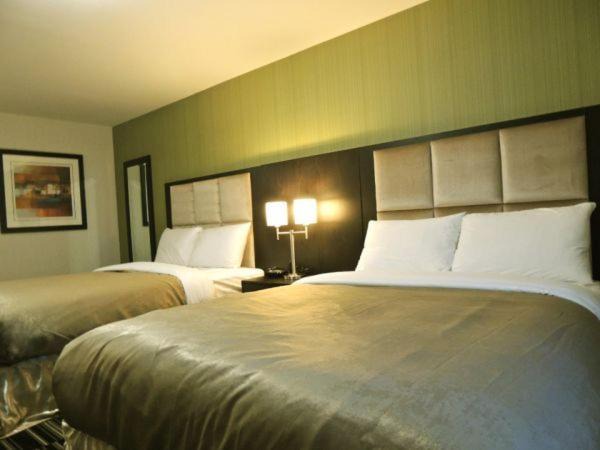 Carlyle Hotel | Western Star Inn and Suites Carlyle