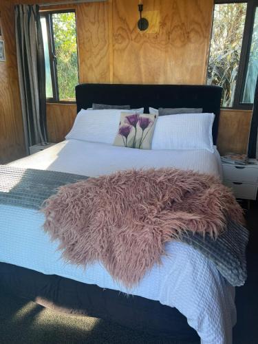 Westmere Apartment | Westmere Retreat