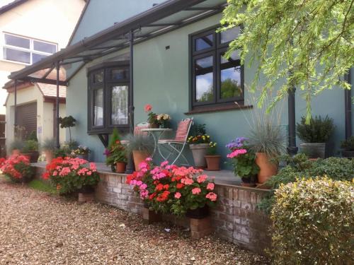 Broadstone Bed & Breakfast | Weston Cottage