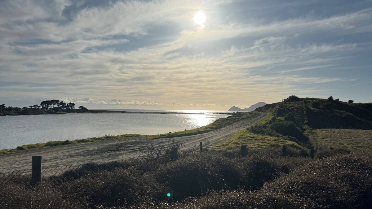 Thornton House | Where the river meets the sea