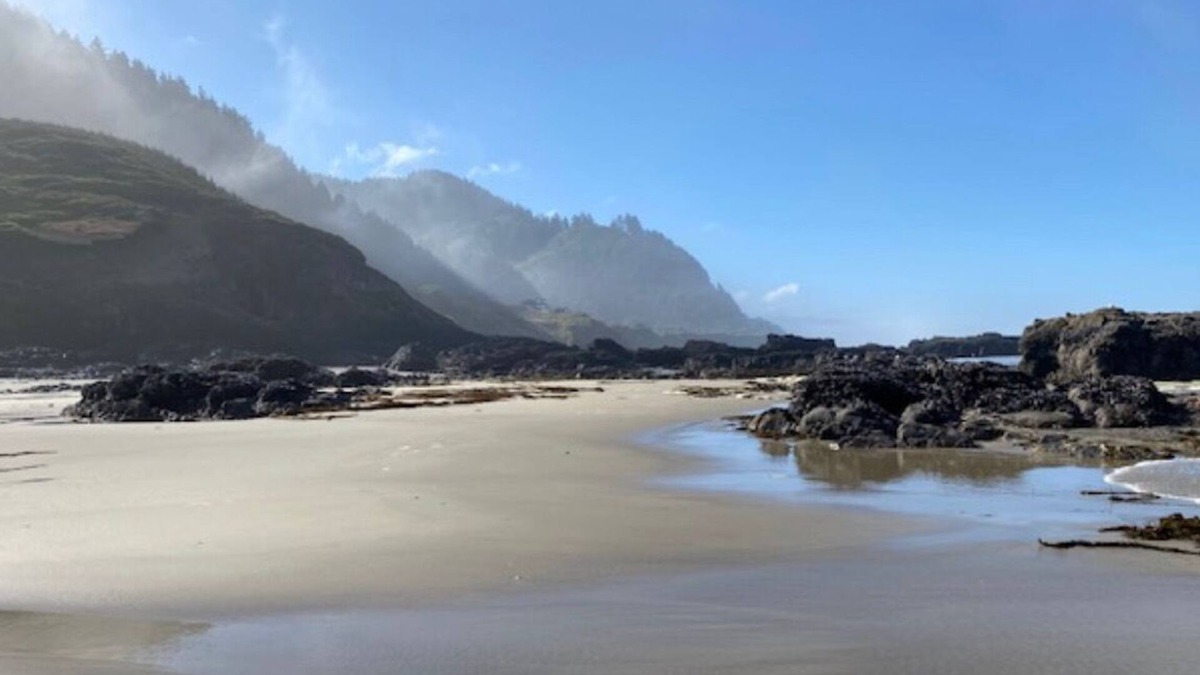 Yachats House | Where Views, Stars & Wildlife Meet: Your Secluded Cliffside Escape Awaits!