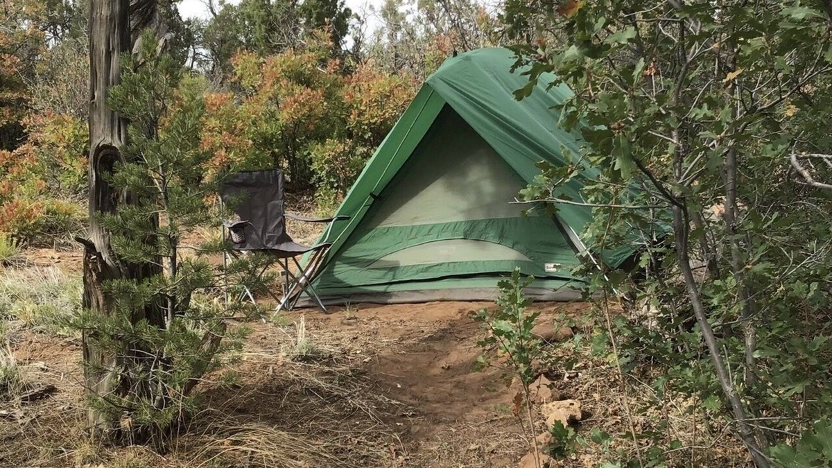 Monticello Apartment | Whether you prefer the rustic charm of tent camping or the comfort of your own vehicle, our campgrounds offer a unique way to connect with nature without sacrificing accessibility. Enjoy the perfect blend of adventure and convenience.