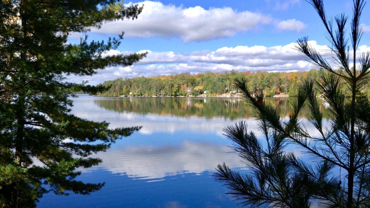Trent Lakes Cottage | Whispering Pines
