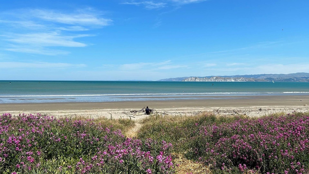 Gisborne Apartment | Whispering Sands Motel