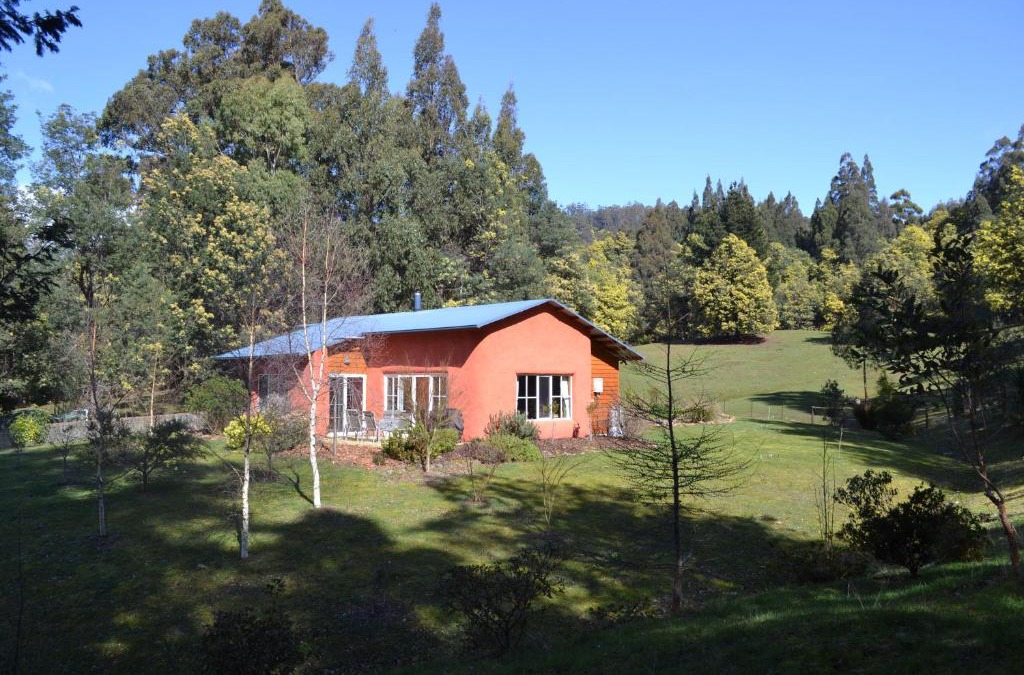 Franklin Cabin | Whispering Spirit Holiday Cottages & Mini Ponies