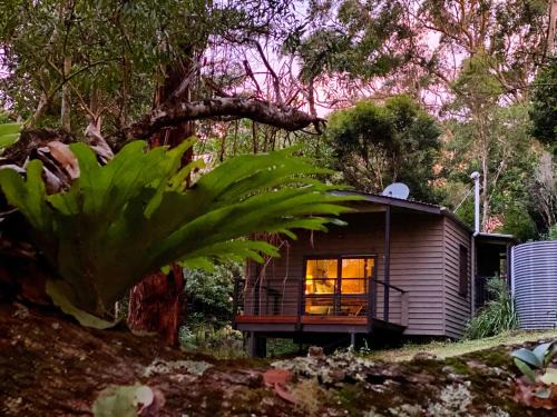 Witta Cabin | Whispering Valley Cottage Retreat