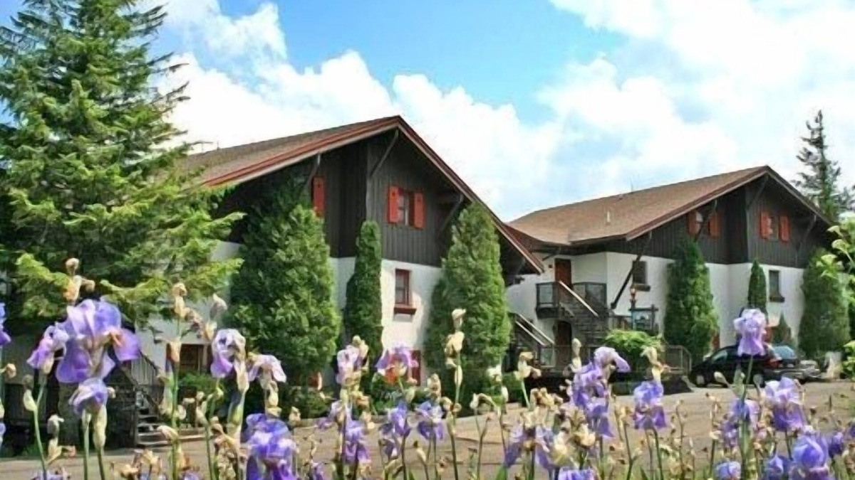 Snowshoe Condo | Whistlepunk 40 Bavaria`s Finest-1 bedroom with loft, Slope Side