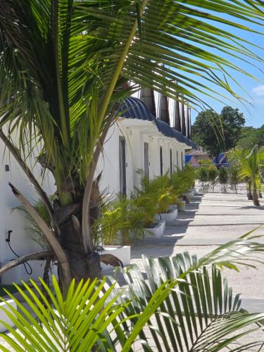 Koh Rong Resort | White Beach Resort Longset