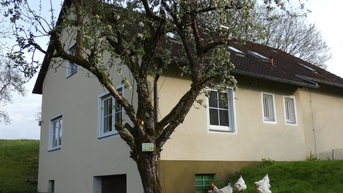 Goessweinstein Apartment | White chicken from Moschendorf