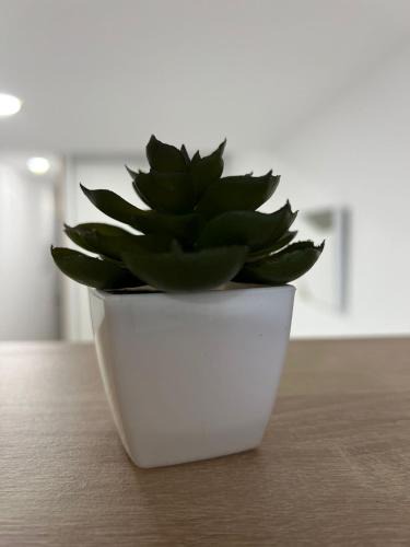 Castello de la Plana Apartment | White House
