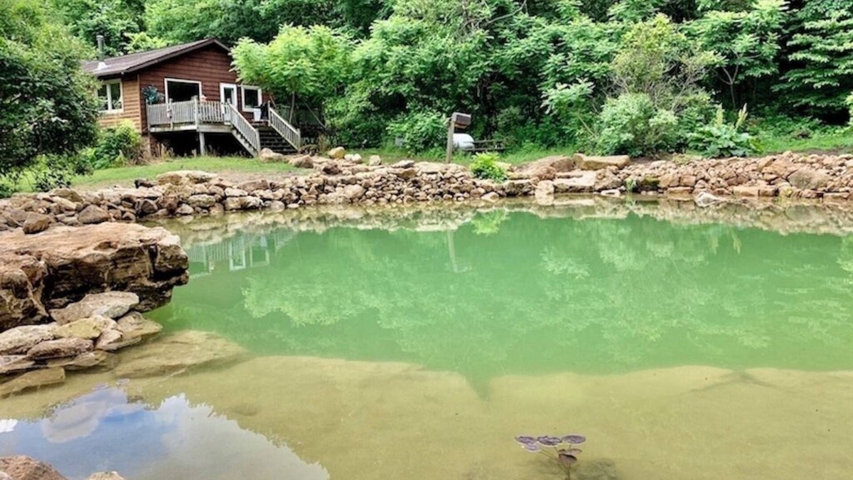 Lansing Cabin | White Pine Cabin with Swimming Pond & Hot Tub Jacuzzi