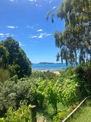 Ngaio Bay House | Whitebait Point