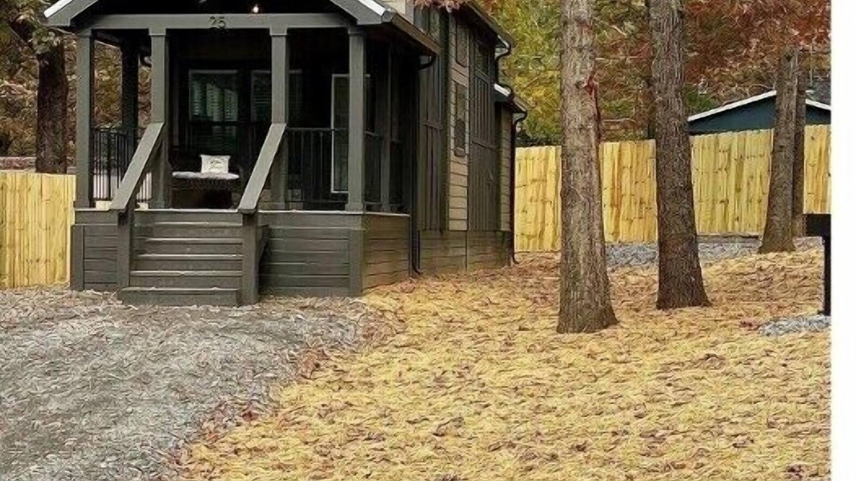 Springville House | Whitetail Cottage at KY Lake. a tiny home experience!