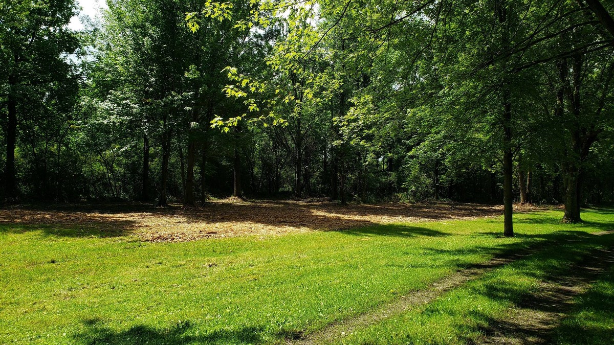 Town of Root RV Rental | Whitetail Meadows RV Campsite