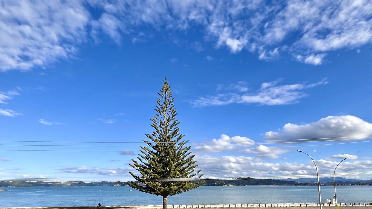 Whitianga Apartment | Whitigetaway Sanctuary Soleil