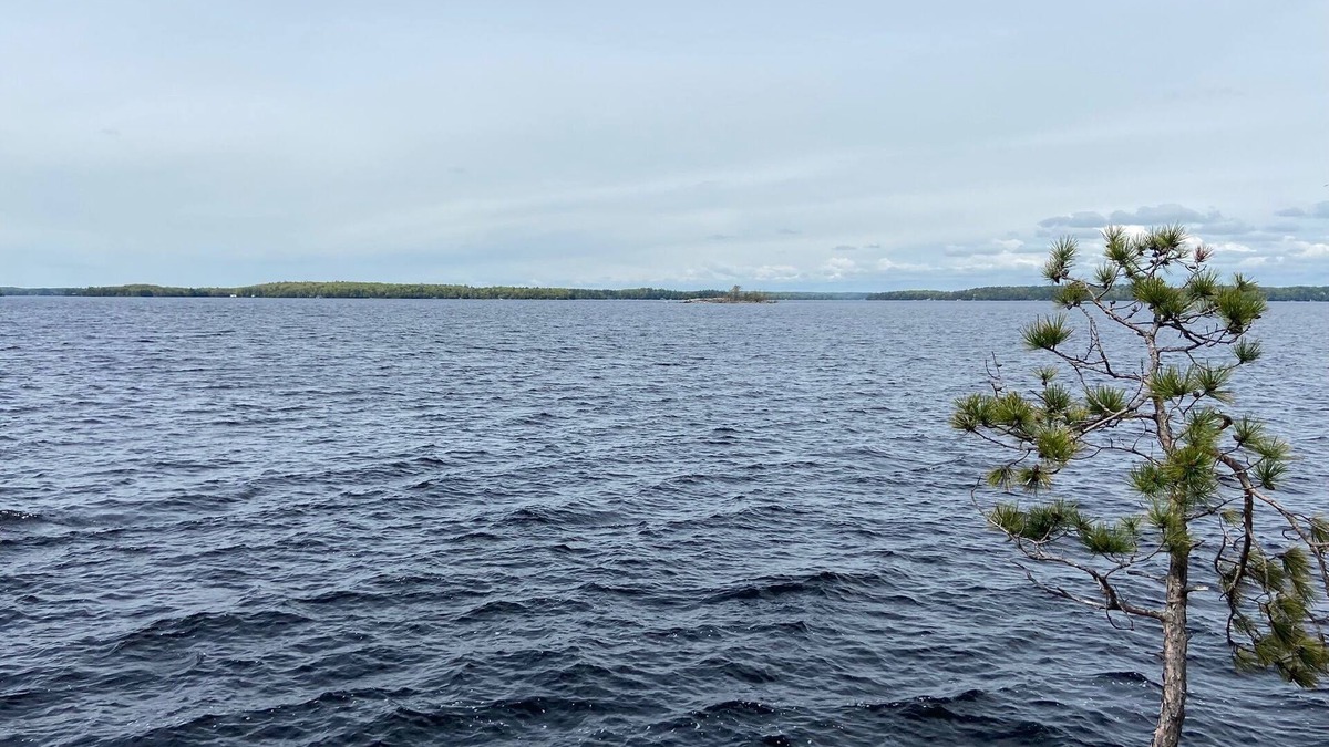Gravenhurst Cottage | Whitt Island cottage on Lake Muskoka